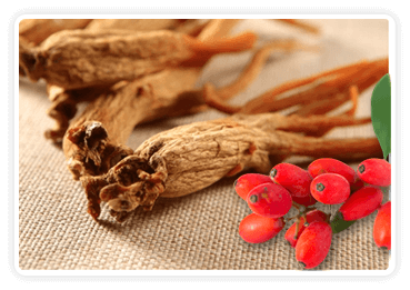 Berberine and Korean Red Ginseng